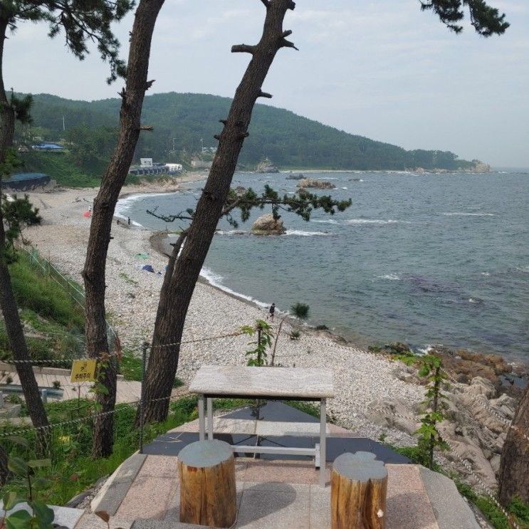 [포항, 경주 카페] 우연히 들른 뷰 맛집 늘해랑 카페, 달보드레펜션