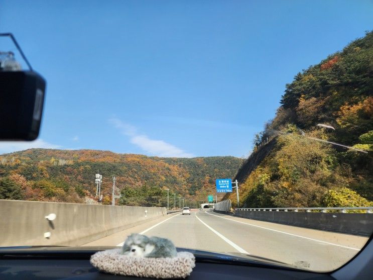 (1일차_영덕여행) 연화문/메타세콰이어 숲길/영덕 대게거리