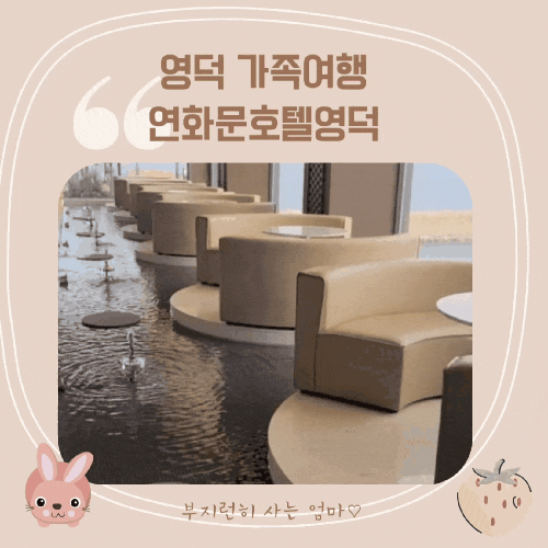 [영덕오션뷰호텔] 가족여행 영덕호텔추천 연화문호텔영덕