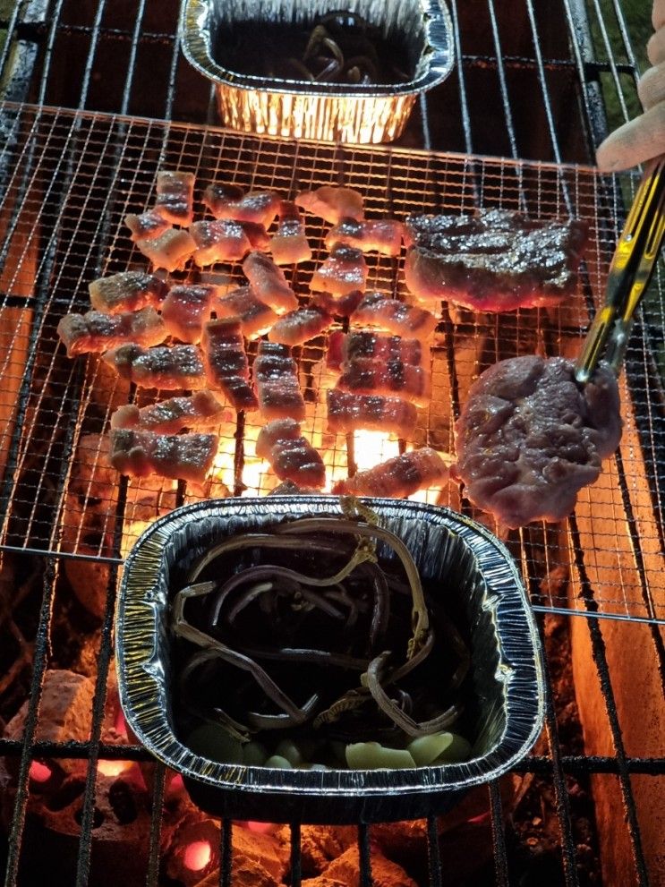 강원도 고성 파인리즈리조트 36평,야외바베큐,속초여행기록