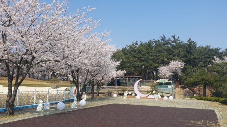 강원도 고성 파인리즈리조트 부대시설 (사우나, 찜질방...