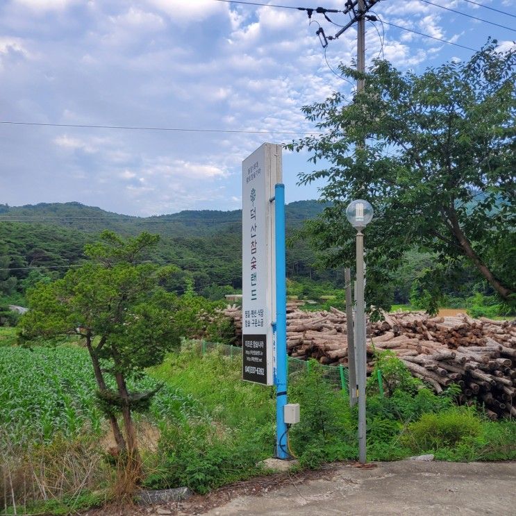 충남여행 : 덕산참숯랜드, 숯가마삼겹살, 예산근처가볼만한곳