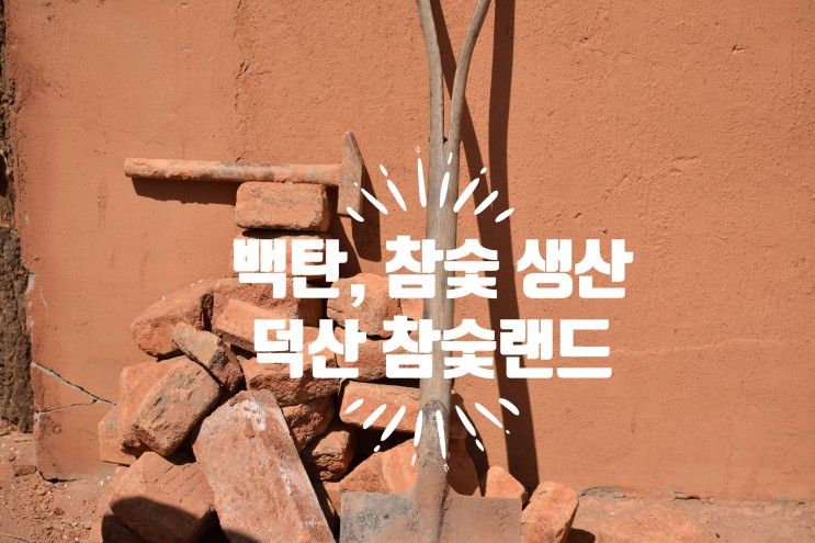 덕산 참숯 랜드 구이용  참숯 백탄 공기 정화 참숯 생산지