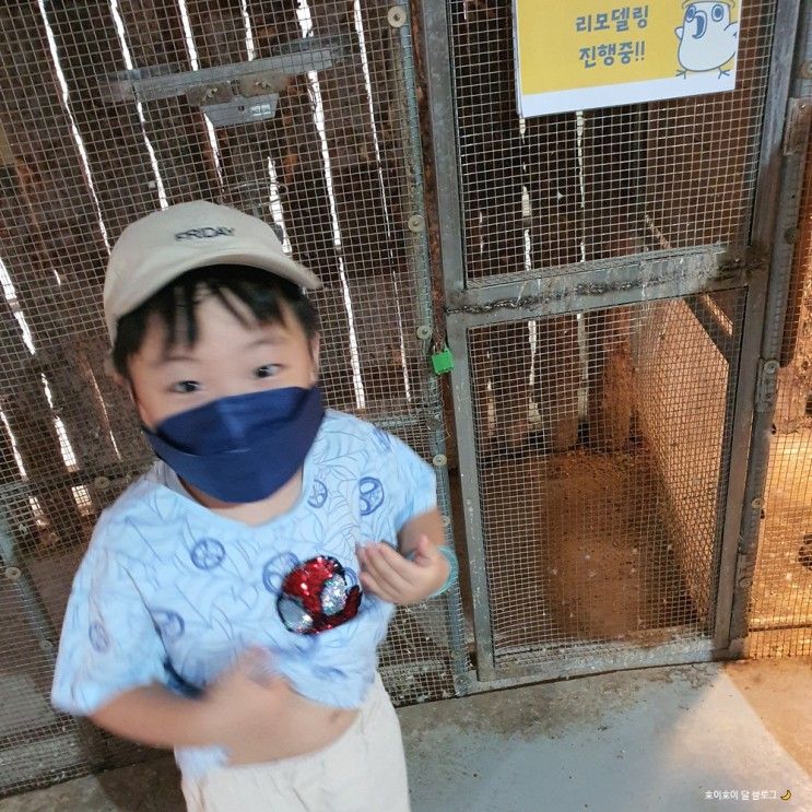 6살 아이랑 가평 : 아침고요동물원 , 관리 잘 된 깨끗한 아침고요수목원 가족동물원!