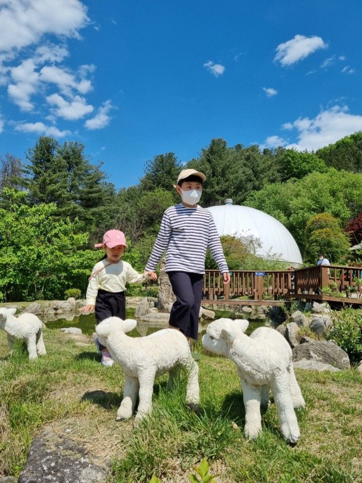 산책하기 좋은날🍀 아침고요가족동물원 소풍, 그림같았던 하루♡