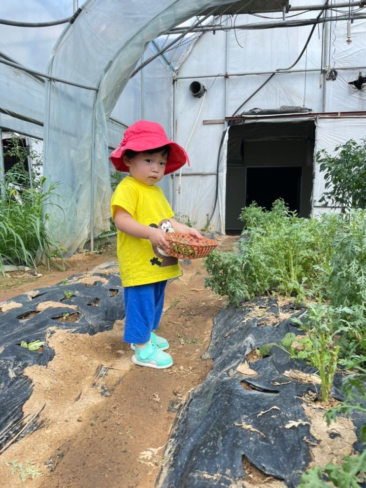 [용인/물놀이] 큰아이들부터 아가아가까지 "좋은버섯들"