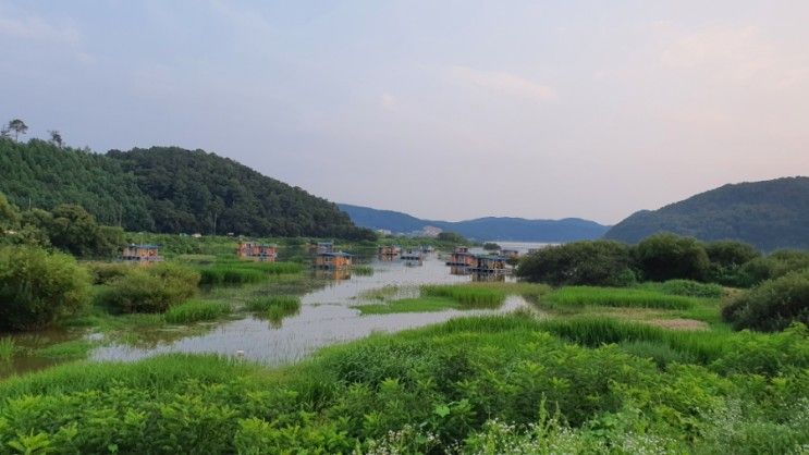 경기도 용인_송전장어직판장/파이프브루