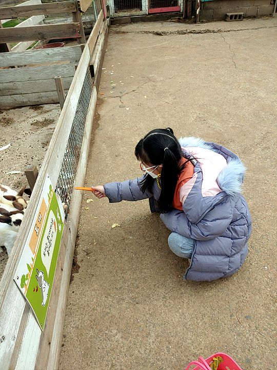 아이들이 좋아하는 남해여행 필수코스 - 양떼목장(양모리학교) 고카트 다랭이마을