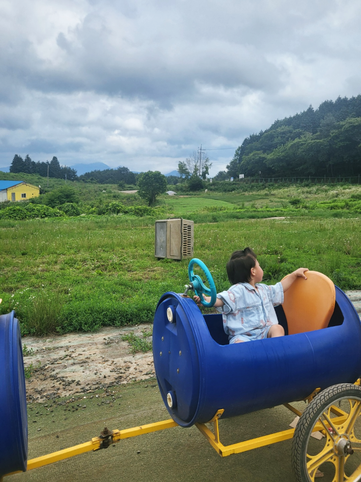 남해 양떼목장 양모리학교 필수코스