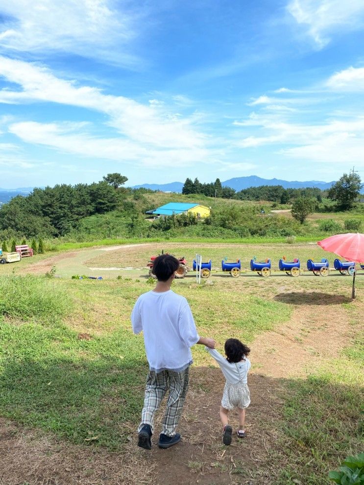 남해 양모리학교 아이와가볼만한곳 바다가보이는 양떼목장