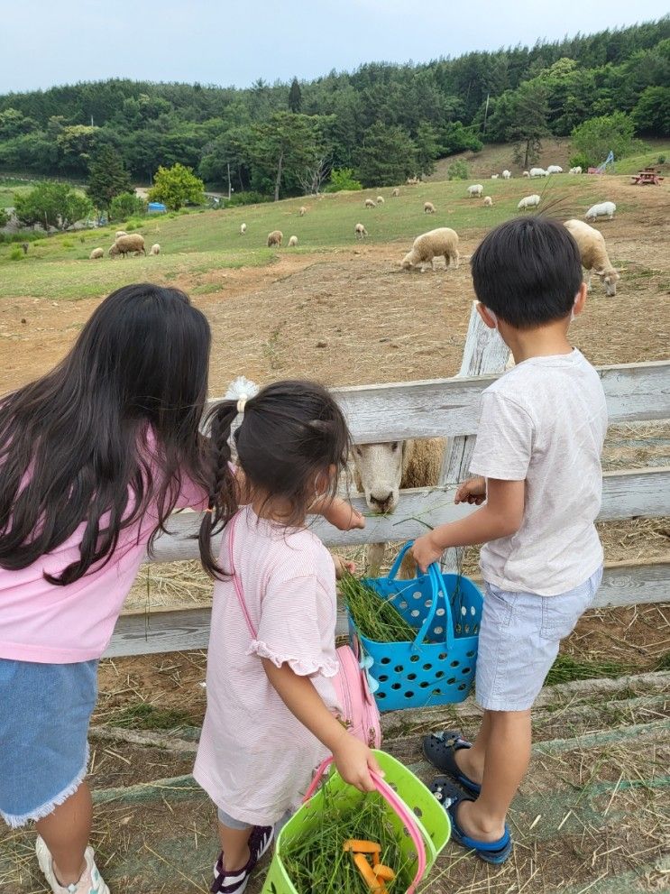 양모리 학교 -남해 아이와 함께