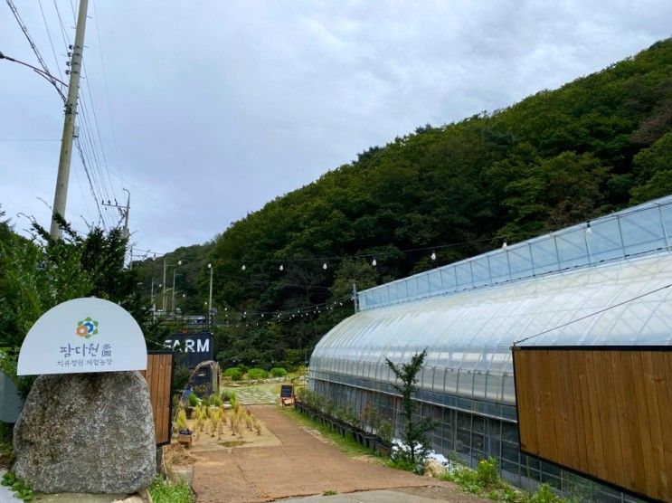 대구 아이랑 가볼만한곳 팜다원 체험농장