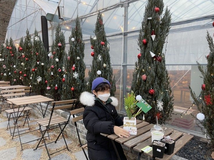 대구 진밭골 팜다원 아이와 트리만들기 체험