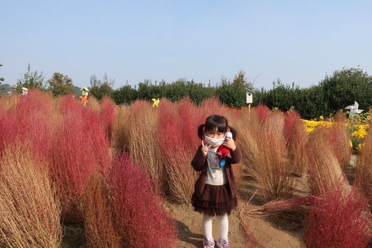 서산버드랜드 박물관 숲놀이터 4살아이랑 함께 , 충남 서산 아이와 가볼만한곳