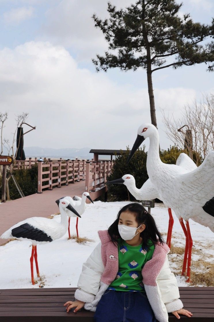 아이와 가볼만한곳 서산 버드랜드 충남 서산 여행 코스 추천