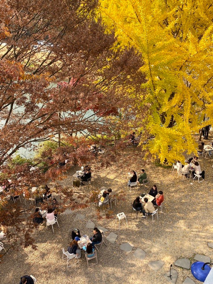 [충남/공주] 단풍+저수지뷰 대형 야외 카페 “엔학고레”