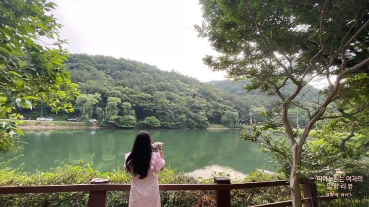 공주 카페 : 저수지 뷰가 있는 엔학고레 (애견동반 가능)