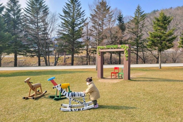 평창 가볼만한곳 대관령 하늘목장 아이랑 가기 좋은곳