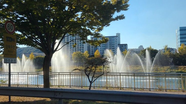 청도여행 아이들과 가볼만한 곳 한국코미디타운에 핑크뮬리... 