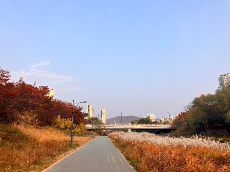 성남 산책(율동공원/책테마파크/판교/화랑공원)