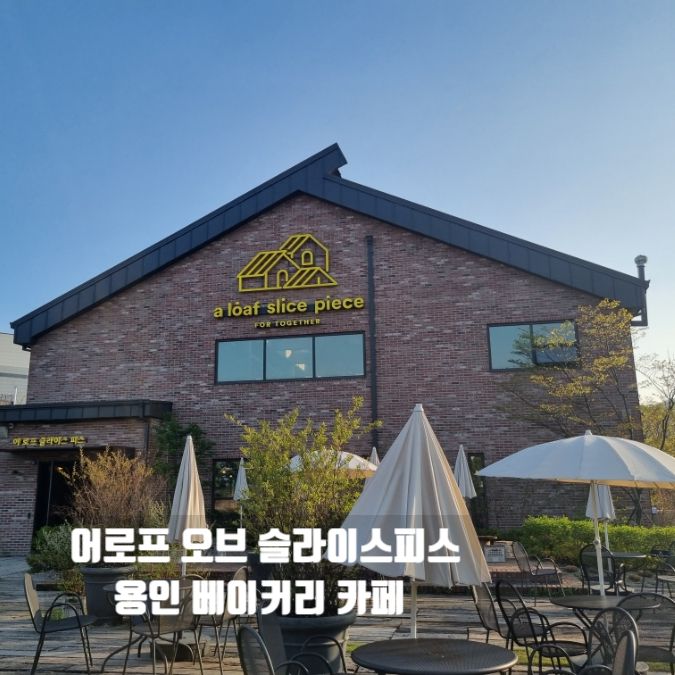 용인 대형 베이커리 카페 I 어로프 슬라이스피스