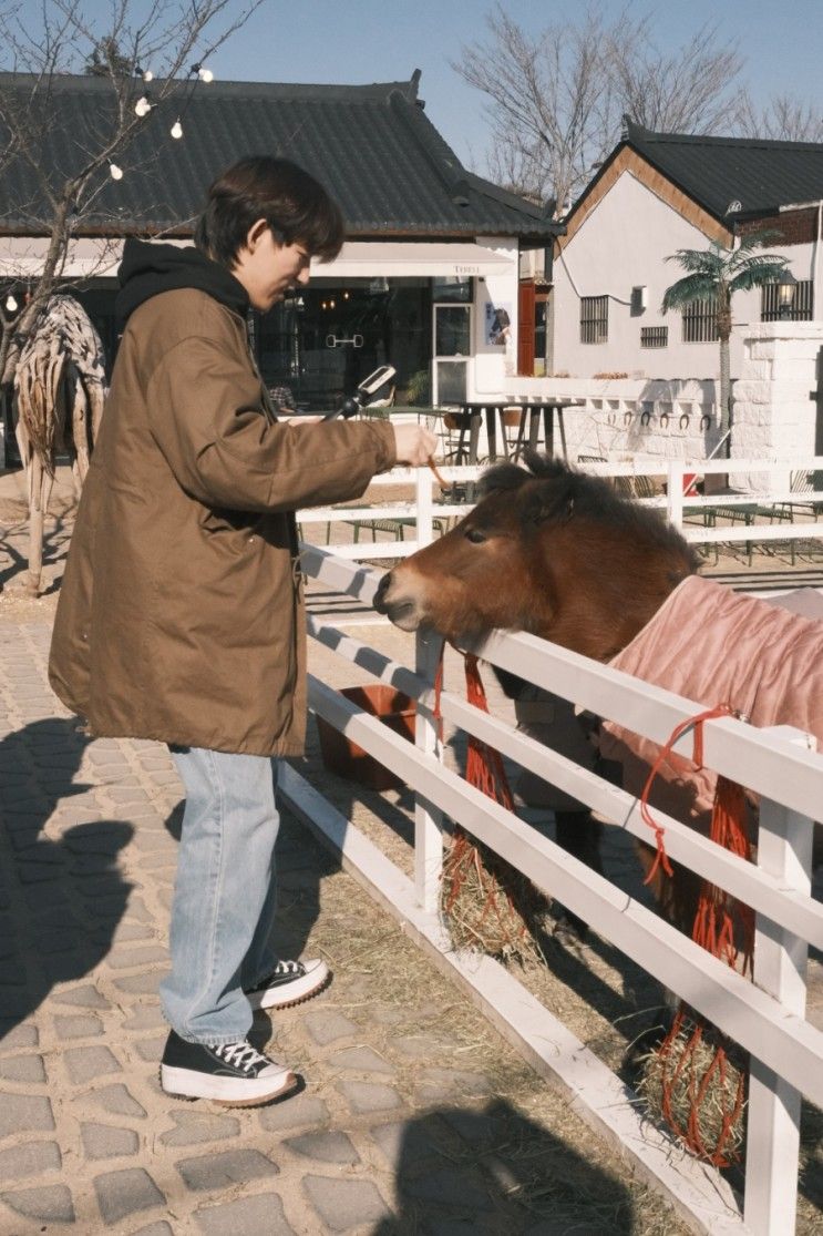 황리단길 카페 테를지 말과 루프탑 그리고 귀여운 디저트까지