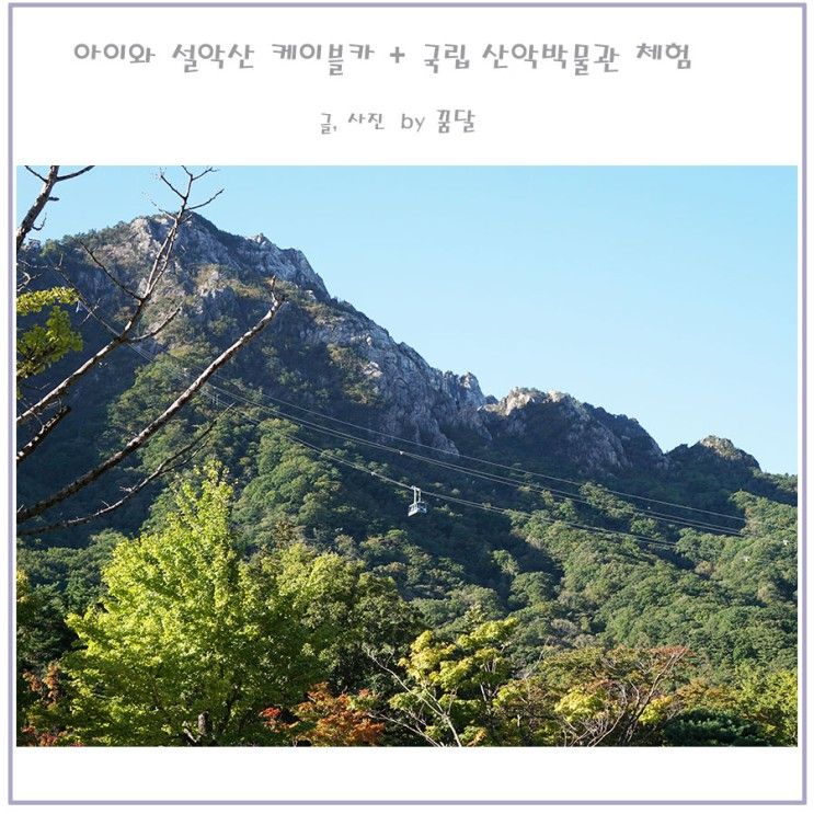 아이와 설악산 케이블카, 국립 산악박물관 클라이밍 체험