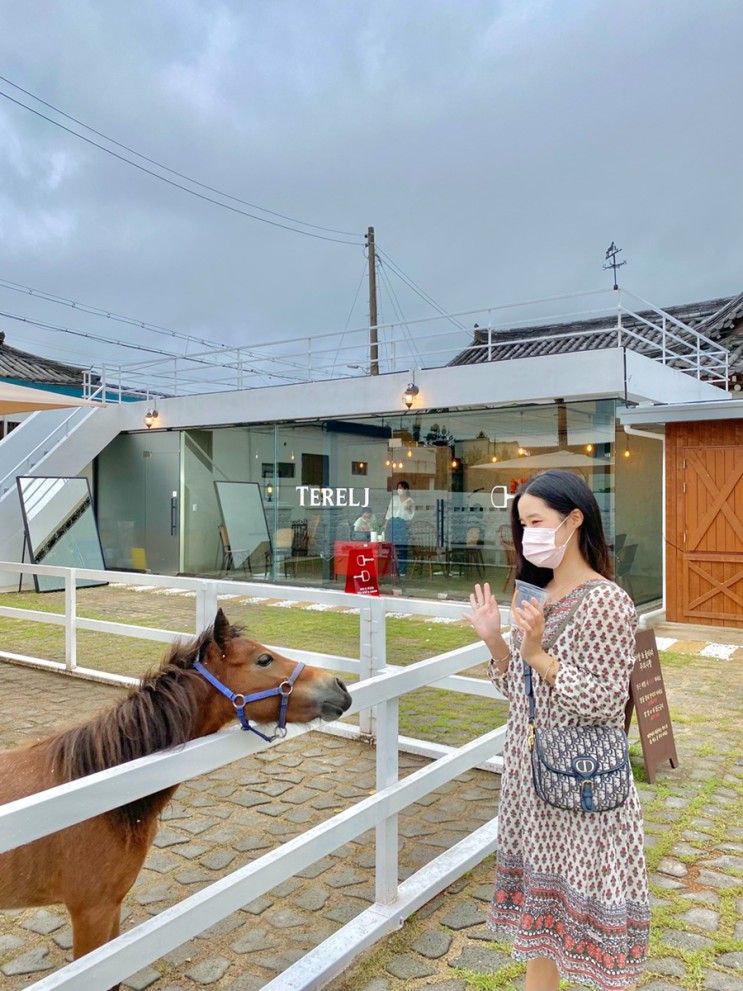 경주 황리단길/ 말 체험 가능한 이색카페, '테를지'