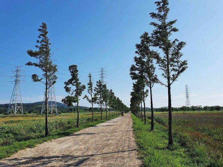 안산 가볼 만한곳_대부바다향기테마파크