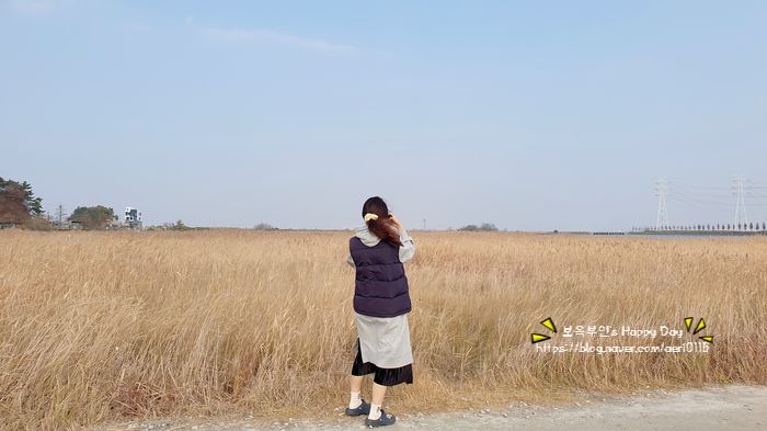 대부바다향기 테마파크 전동바이크는 필수+대부도 포도빵♪