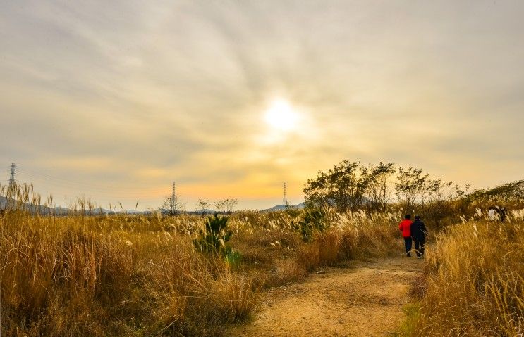 경기도 안산 대부도 갈만한곳, 드라이브 코스 대부바다향기테마파크 여행 : 전동바이크, 방아머리 해수욕장, 주차 무료