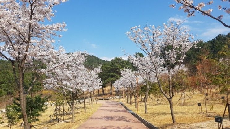 밀양 아이들과 가볼만한곳 밀양아리랑대공원 밀양만어사