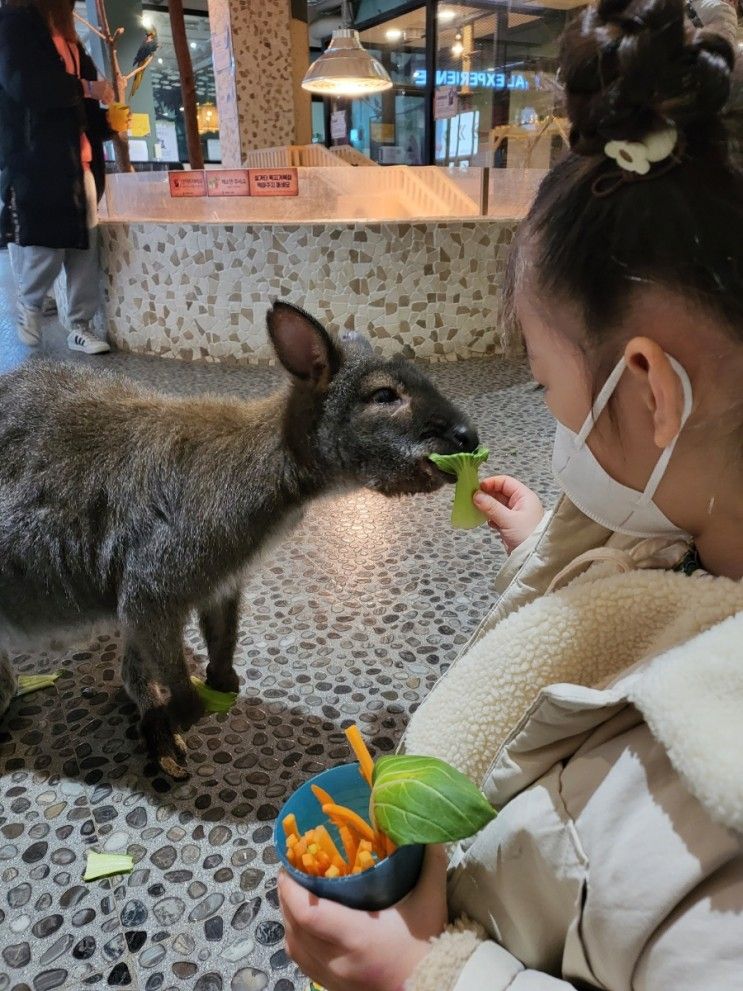 경주 와우주 아이와함께... 즐길 수 있는 실내 동물원 WOW ZOO