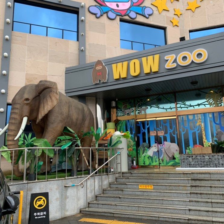 WoW ZOO        ❤️ 경주 실내 동물원 ❤️           동물... 