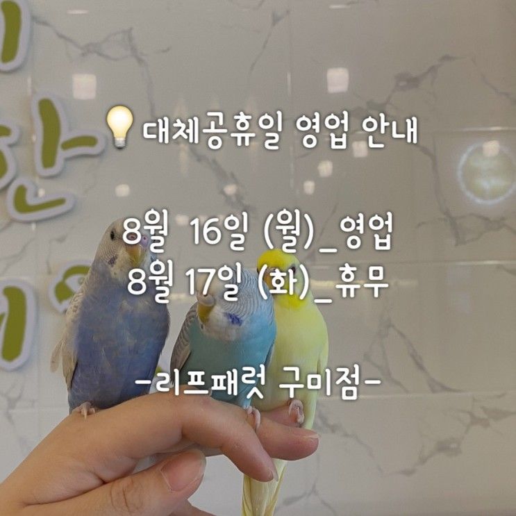 리프패럿 구미점 대체공휴일(8/16) 영업안내