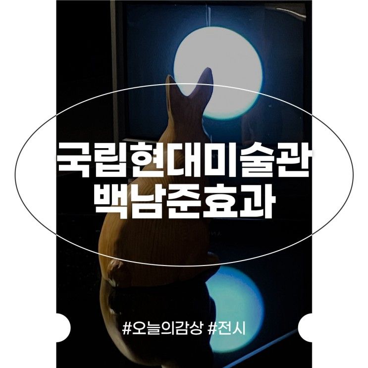 국립현대미술관 전시 백남준효과 도슨트 후기 국현미 과천