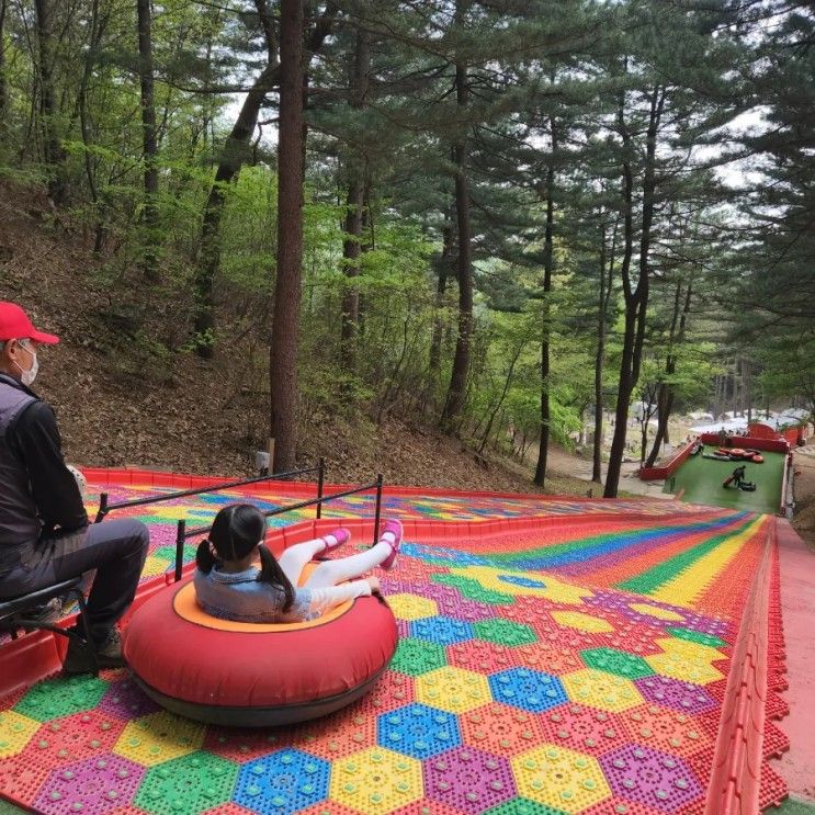 에델바이스 스위스 테마파크 볼거리 놀거리 가득한 가평...