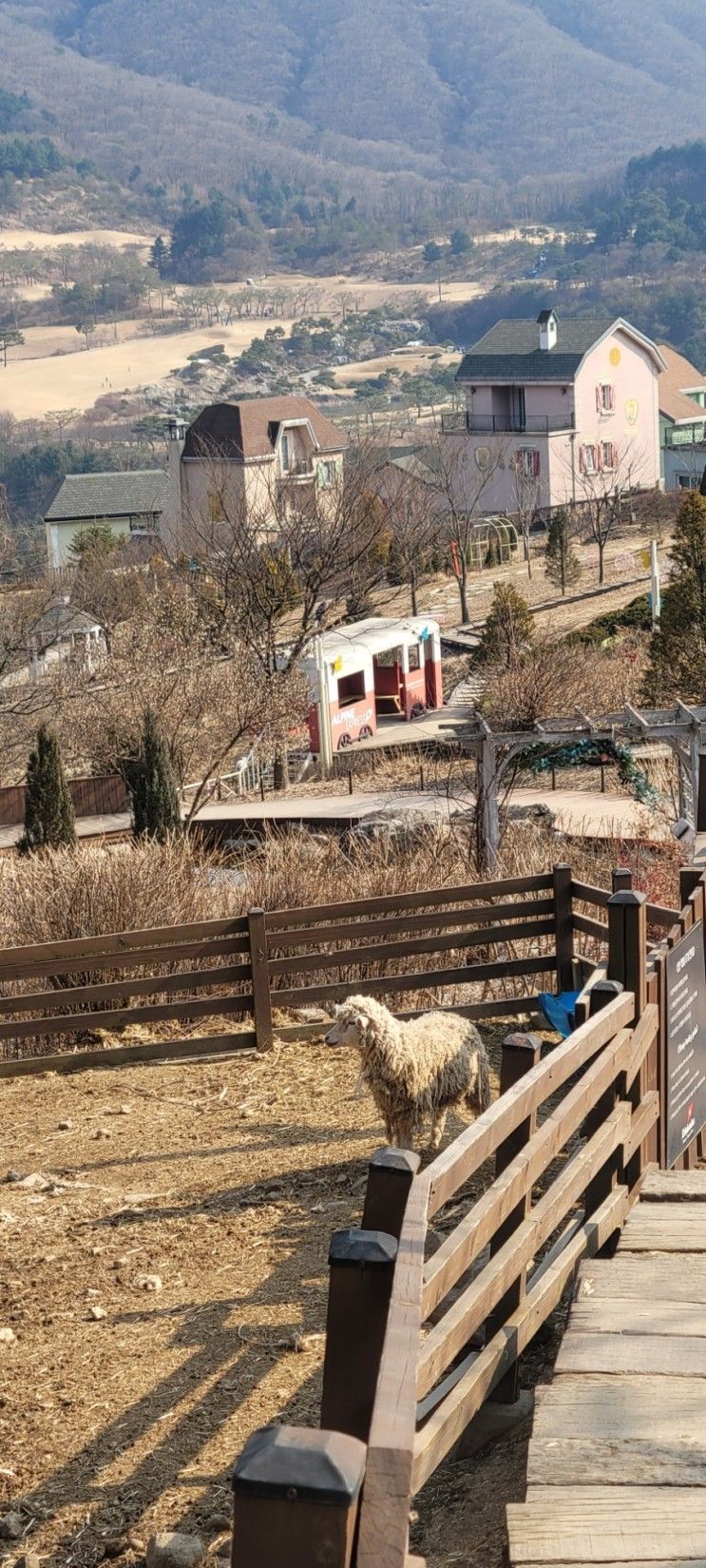 에델바이스_스위스테마파크