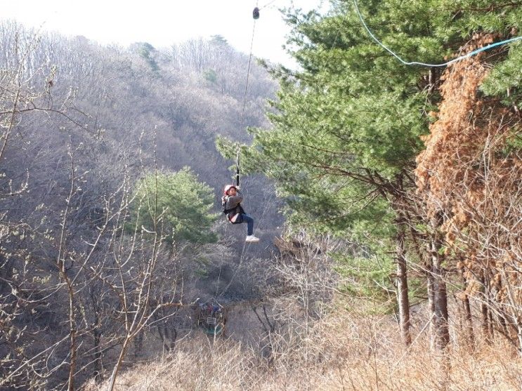 홍천가리산레포츠파크_플라잉짚앤서바이벌