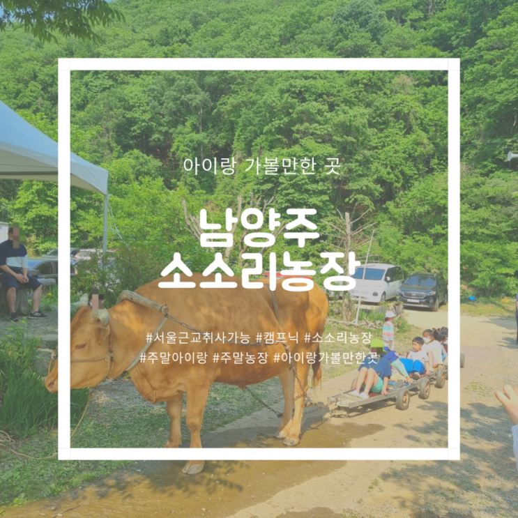 서울근교 취사가능 계곡 남양주 소소리농장, 캠핑 맛보기