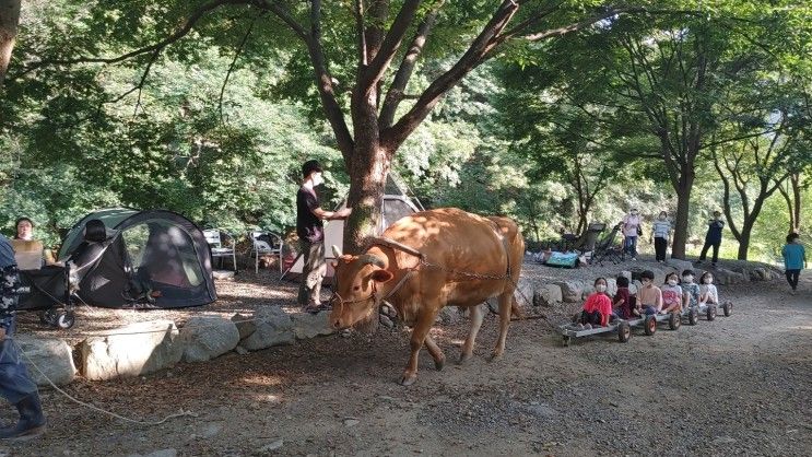 아이와 함께 서울 근교 농장체험 - 남양주 소소리 농장