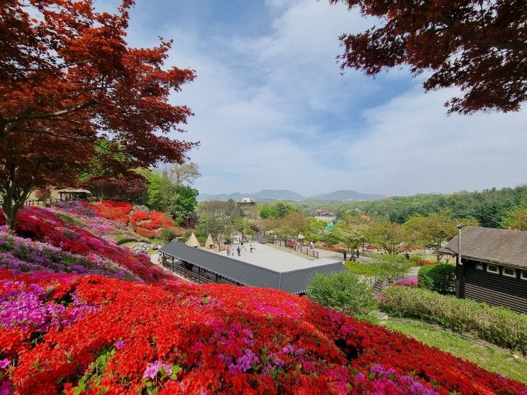 용인 농촌테마파크 아기랑 나들이_ 돗자리 & 도시락 가져가기