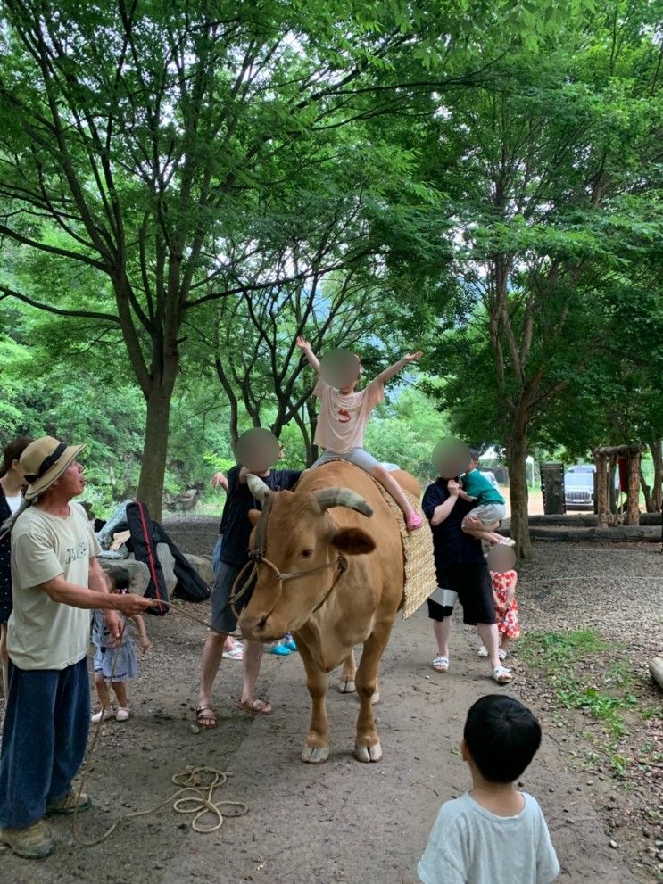 [남양주] 서울근교 아이들과 가기 좋은 소소리농장