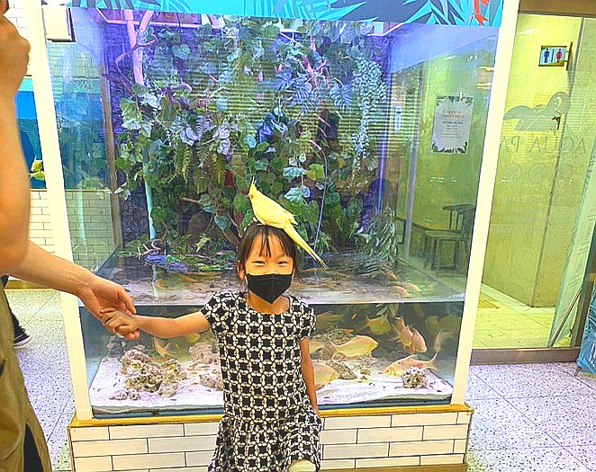 남양주 작은동물원 비올때 아이와 실내데이트 아쿠아파크