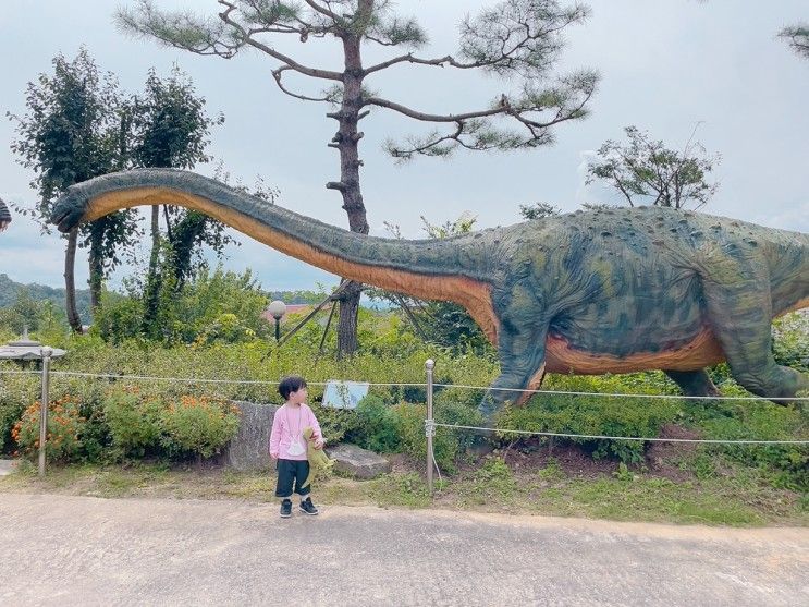 [아기와갈만한곳] 덕소자연사박물관 - 공룡 전시관과 동물...