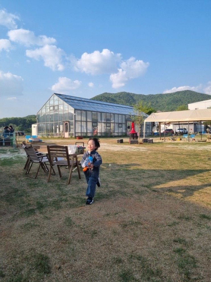 아이와가볼만한곳 포레스트벨 용인농장체험 쌈채소 수확하기