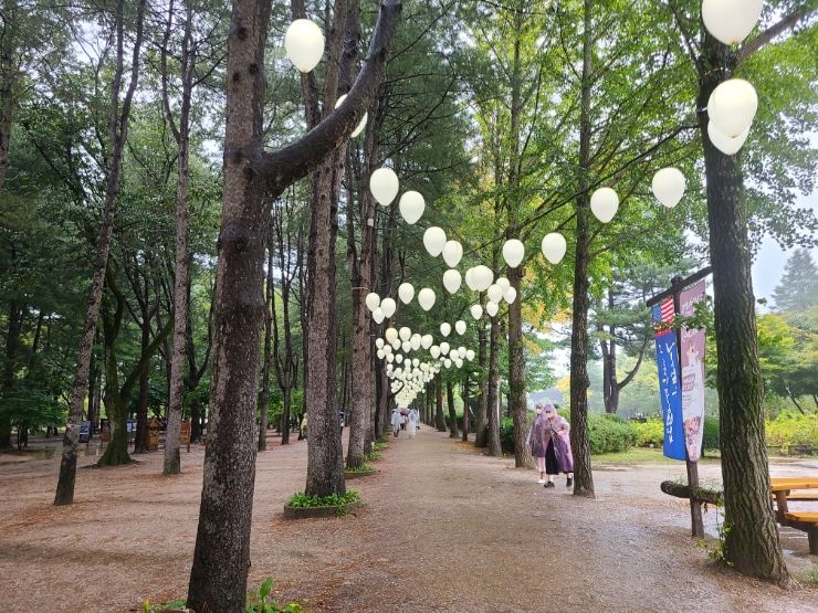 1박2일 홍천여행 소노벨 비발디파크 찍고 춘천 남이섬