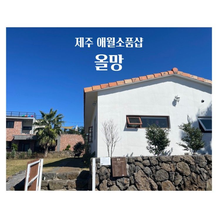 귀여운 고양이가 맞아주는 제주 애월소품샵, 올망 방문후기