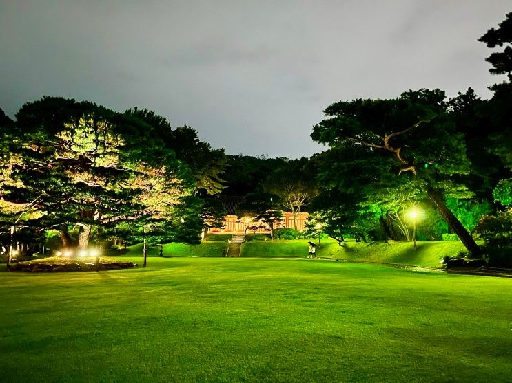 청와대 밤의 산책 야간 개장 후기 A부터  Z까지