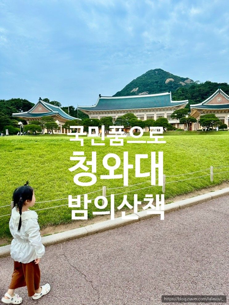 청와대 국민 품으로 청와대 밤의 산책